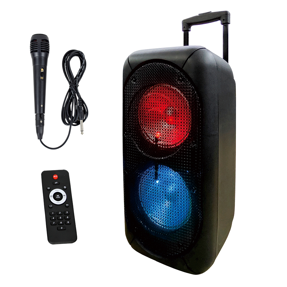 Parlante Big pro 800