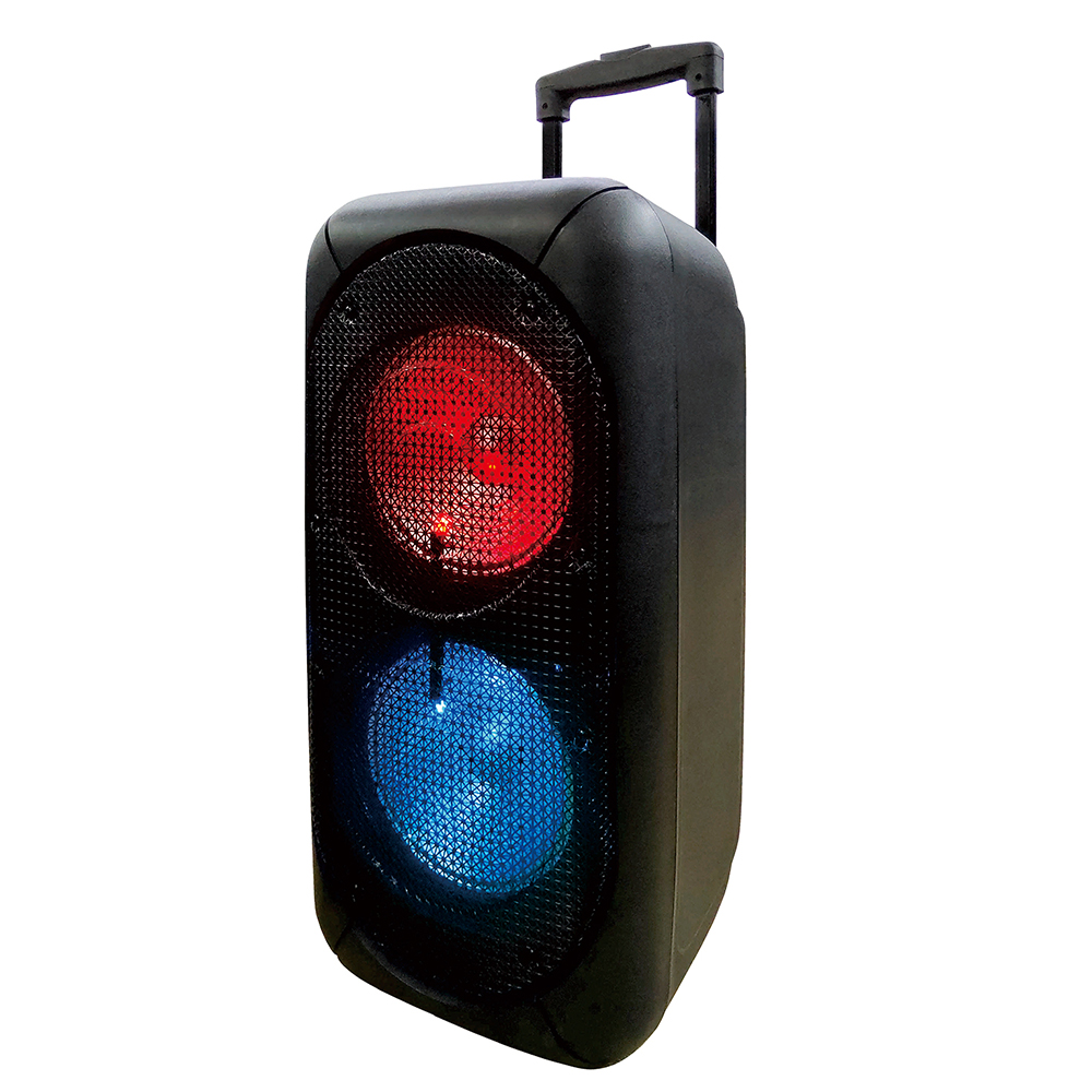 Parlante Big pro 800